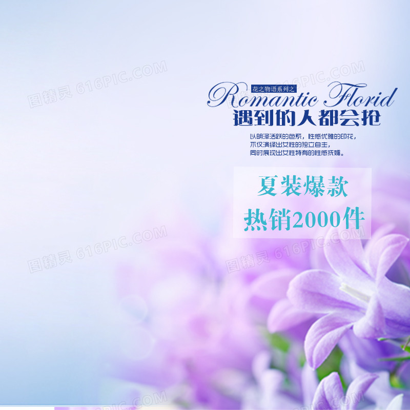 浪漫紫色百合背景