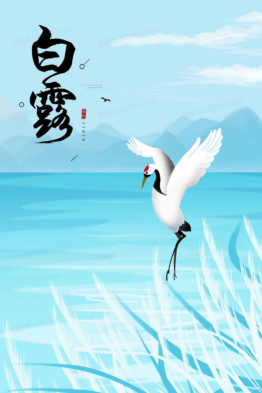 白露芦苇丛风景手绘插画