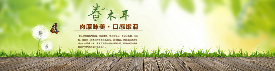 淘宝天猫全屏海报木板绿草海报