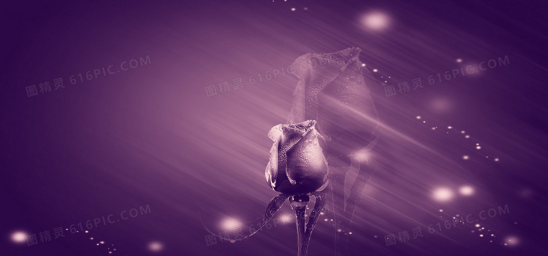 唯美梦幻紫色花朵背景海报