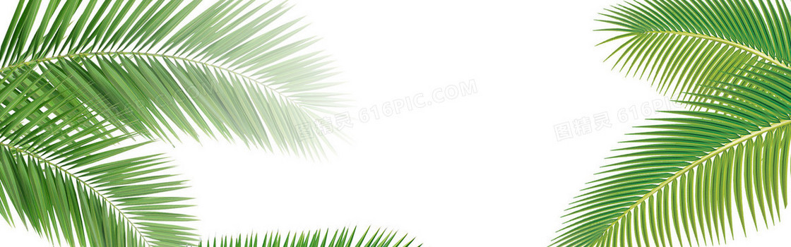 母婴尚新海报banner