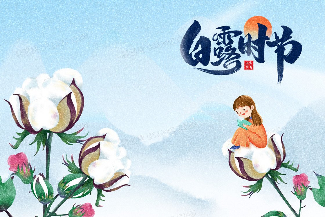 文艺清新白露节气棉花插画