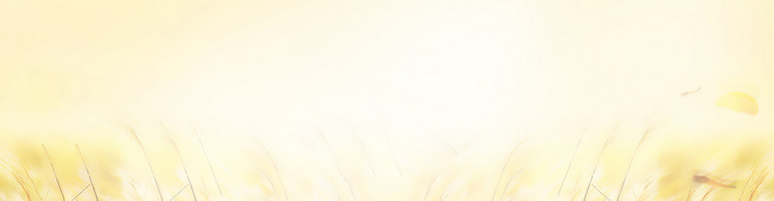 淘宝女装首页秋装海报促销banner