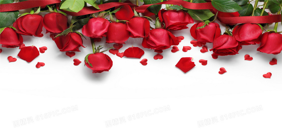 玫瑰花情人节海报背景