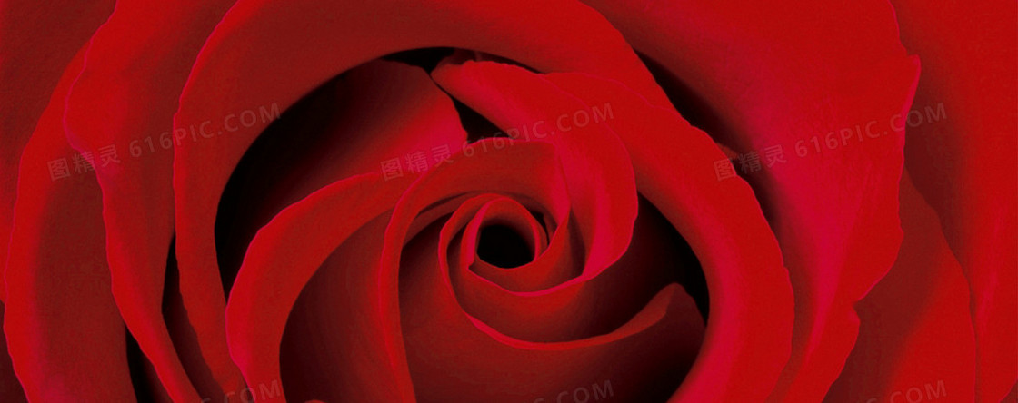 大气红色玫瑰花海报背景
