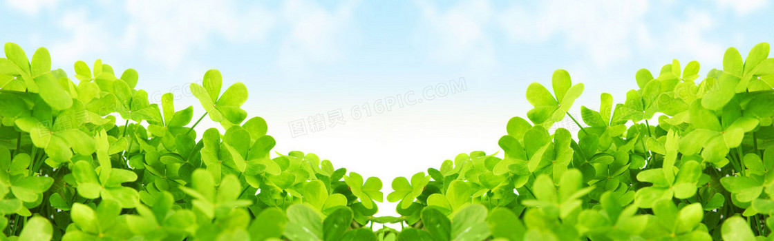 幸运爱妻四叶草淘宝海报背景