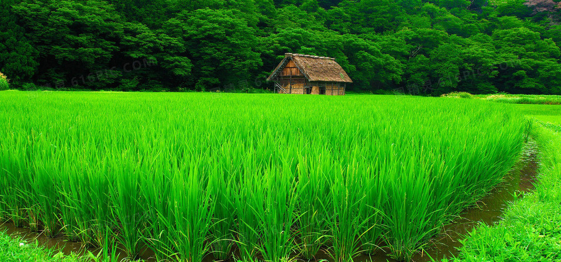 淘宝背景图