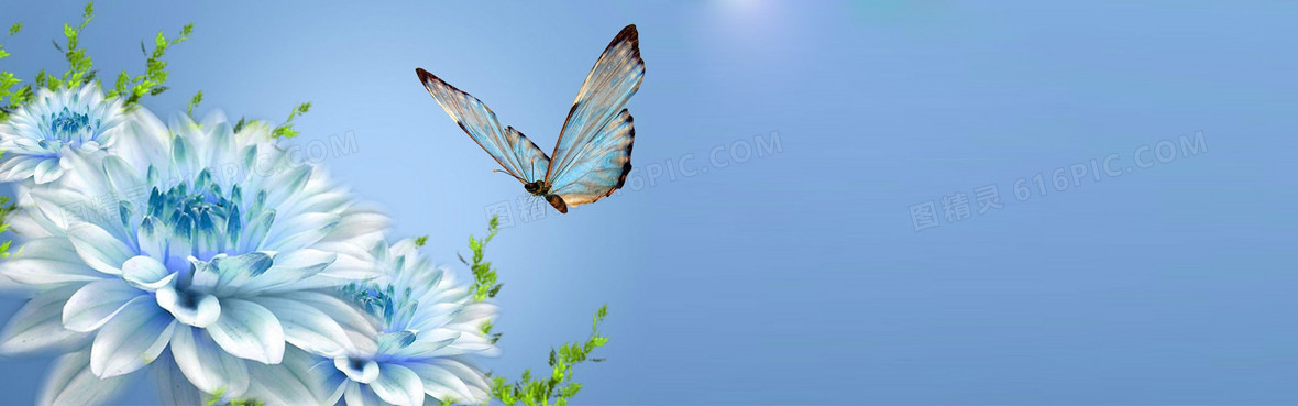 唯美蝶恋花淘宝海报背景