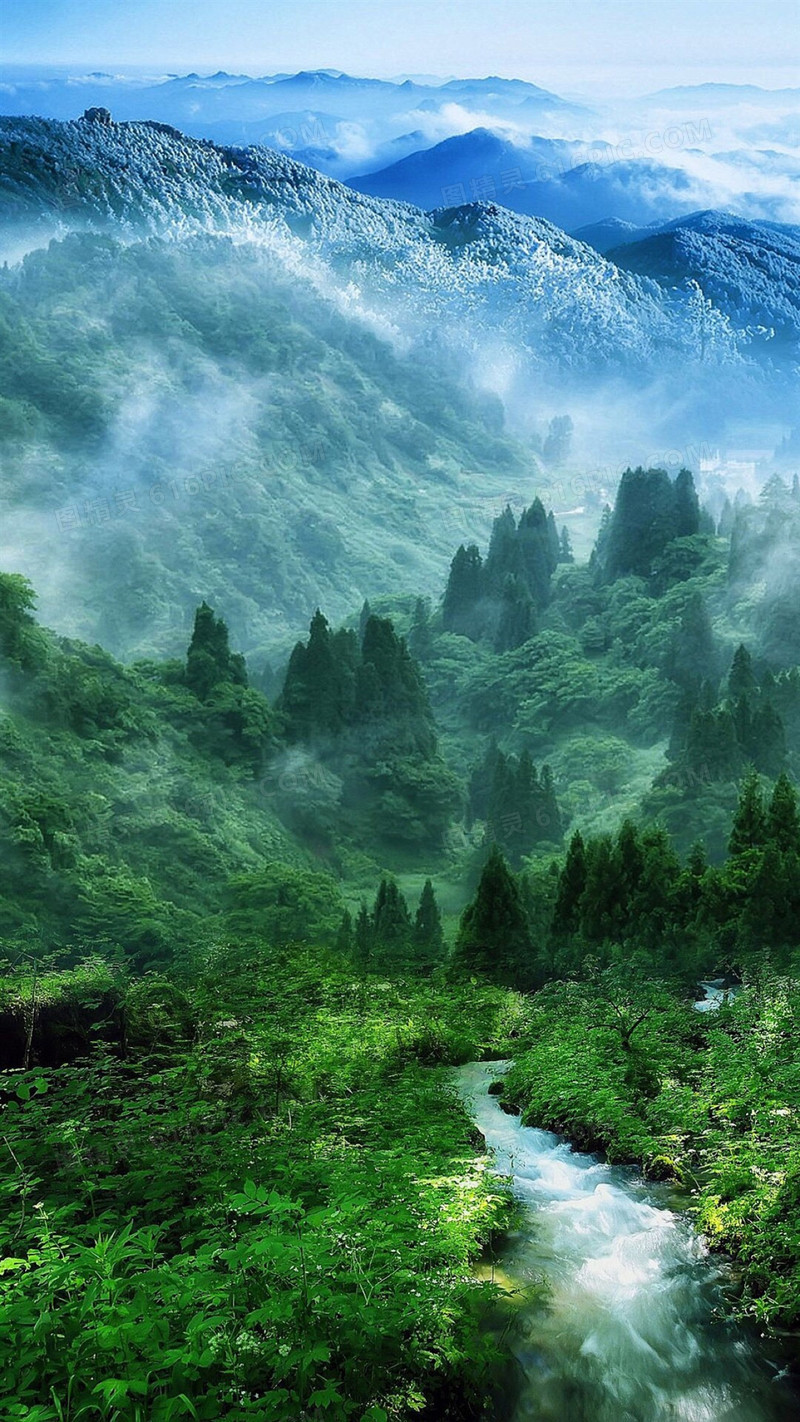 森林 山水风景h5背景背景图片下载_1080x1920像素jpg