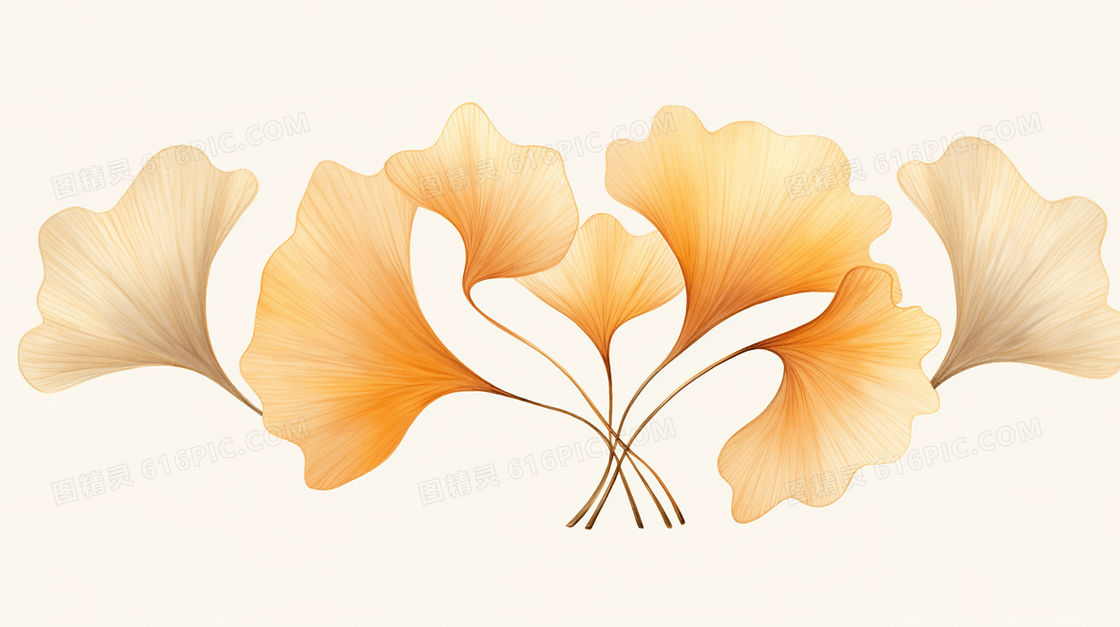 金黄色银杏叶子秋季插画