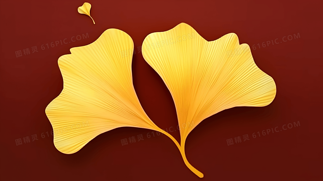 金黄色银杏叶子秋季插画