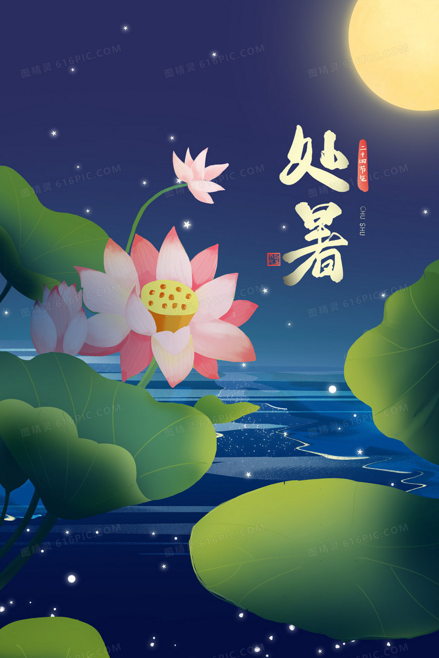 处暑夜晚荷塘月色插画海报