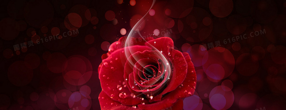 护肤化妆品红色玫瑰高贵大气背景
