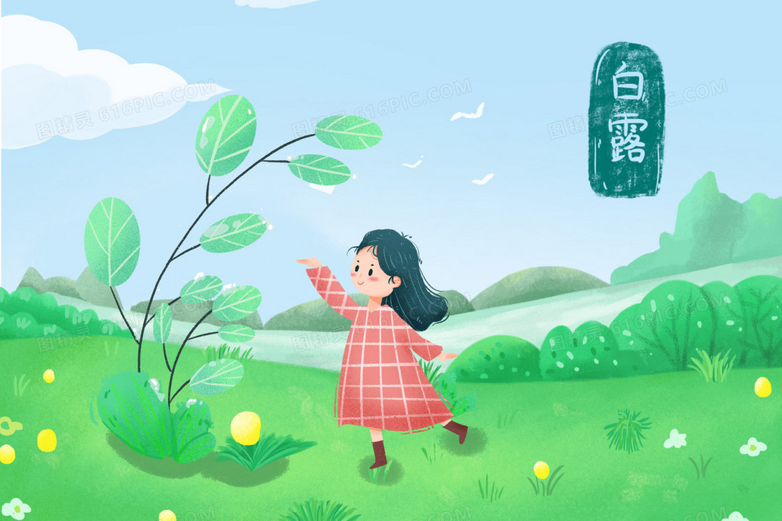白露节气女孩接露水插画