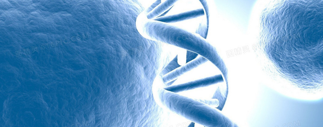 DNA基因遗传背景banner