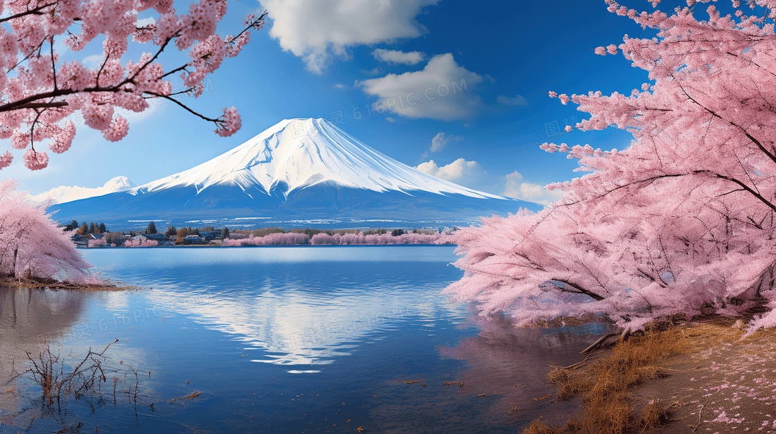 唯美粉色樱花和日本富士山风景图片