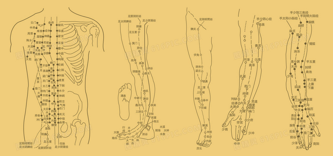 古典中医穴位背景图