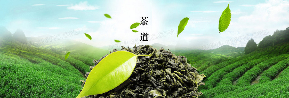 茶园茶道茶叶茶艺背景