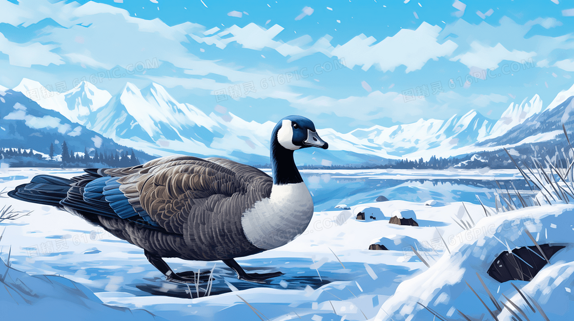 冬季冰天雪地里的灰雁插画