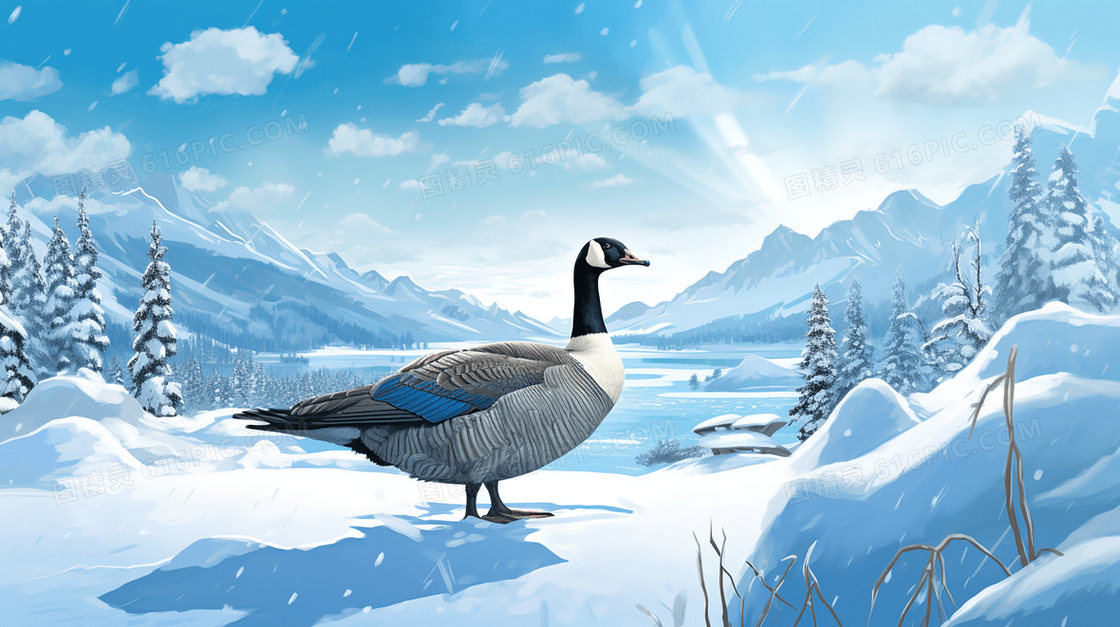 冬季冰天雪地里的灰雁插画