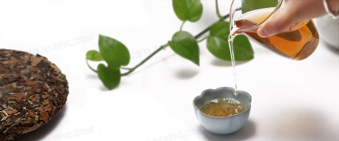 茶背景