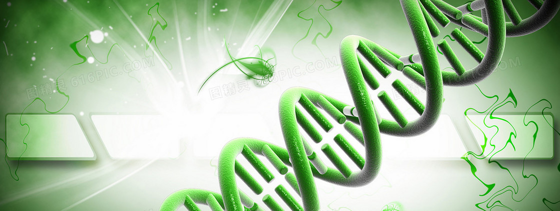 3D虚拟基因遗传背景banner