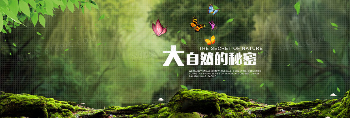 绿色深林