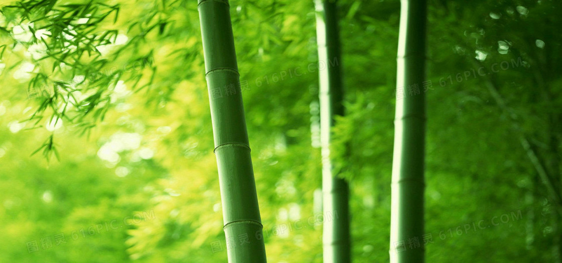 淘宝背景图