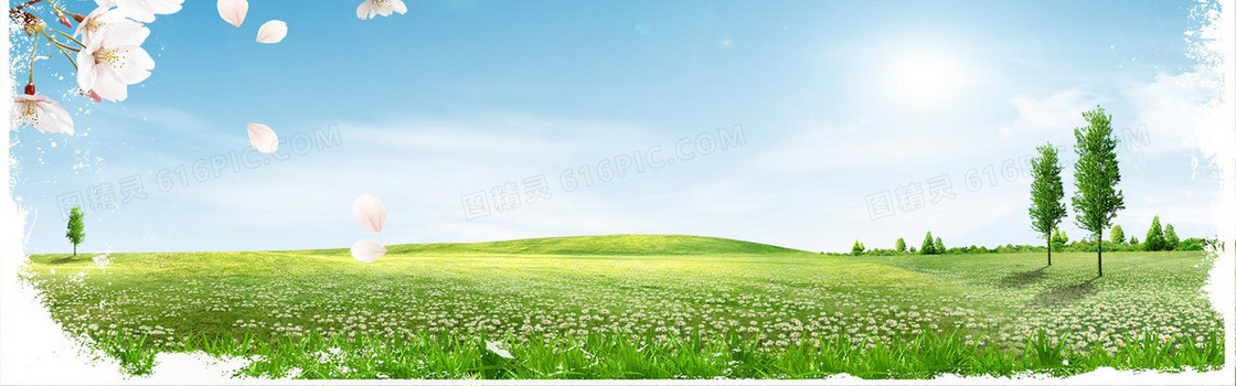 创意自然简约背景