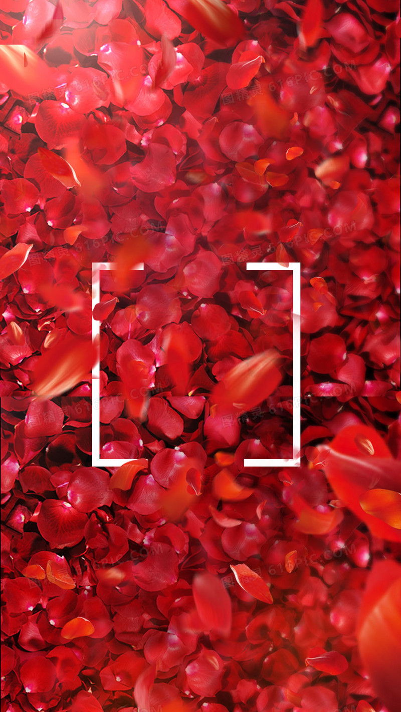 红色大气玫瑰花瓣护肤品背景图