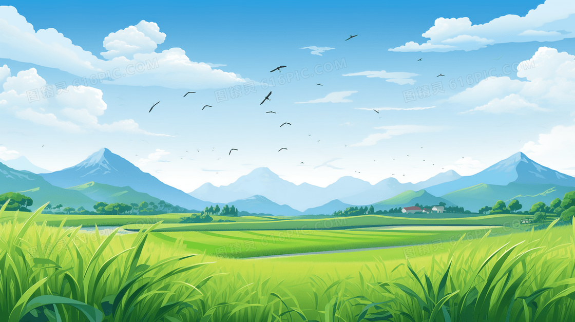 春季山边翠绿辽阔的水稻田插画