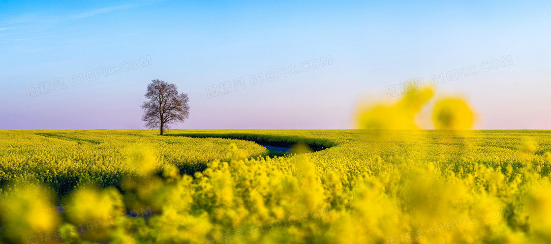 清新 背景