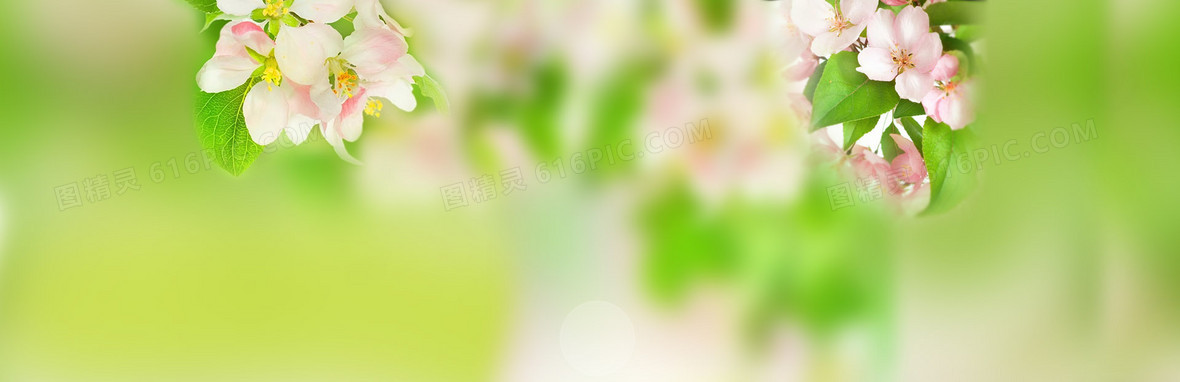 春季清新banner背景