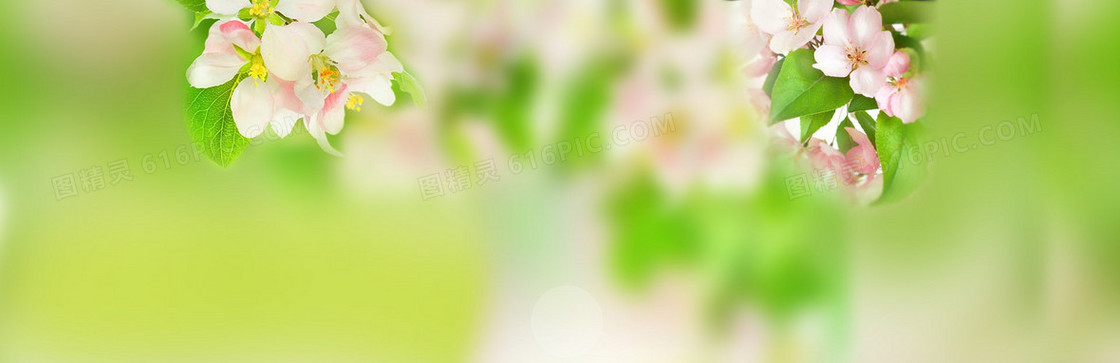 春季清新banner背景