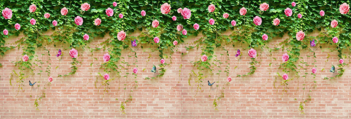 蔷薇花墙