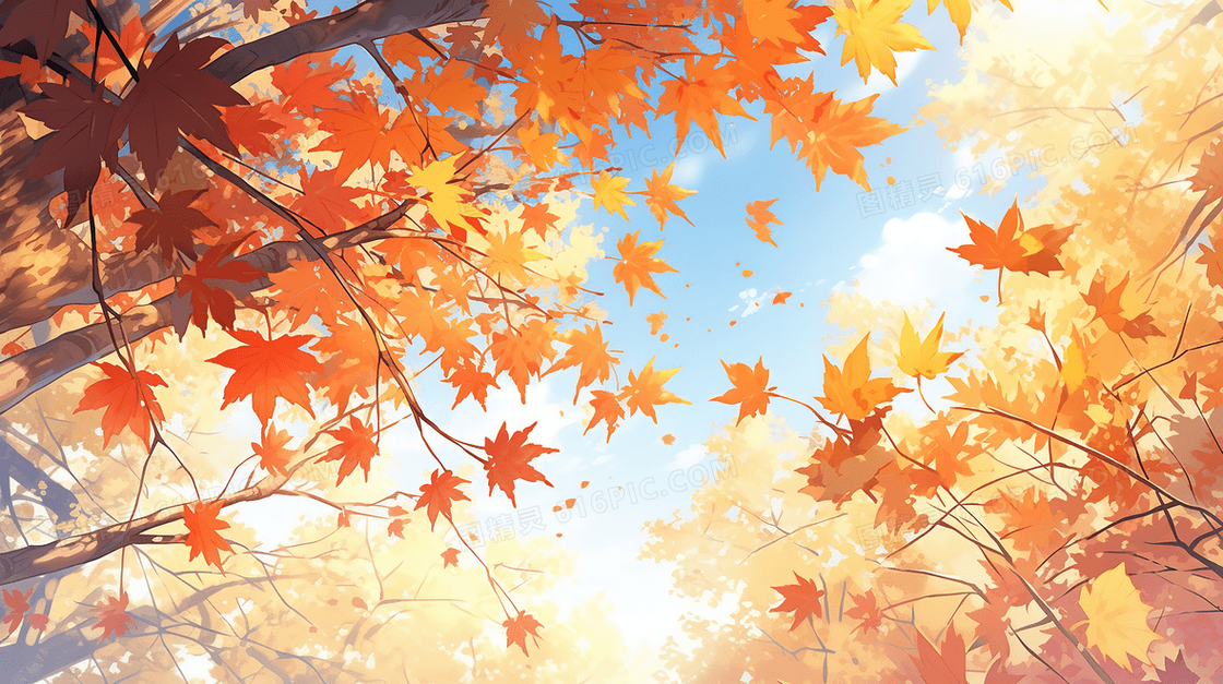 秋天枫树林里的枫叶插画