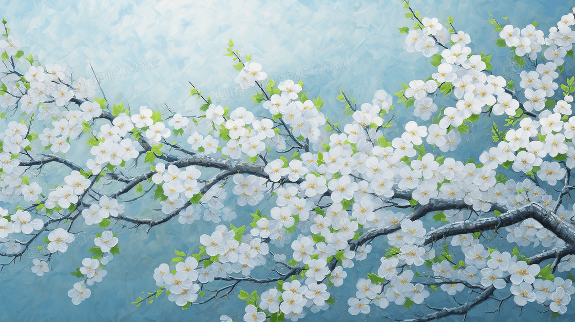 春季盛开的白色梨花插画