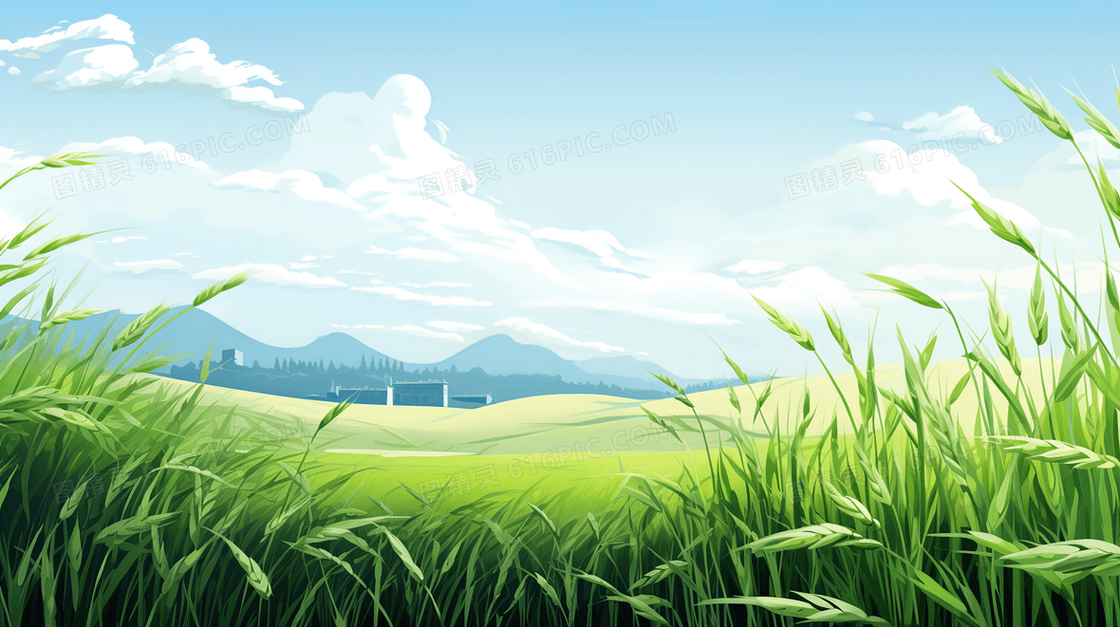 春季绿油油的乡间稻田插画