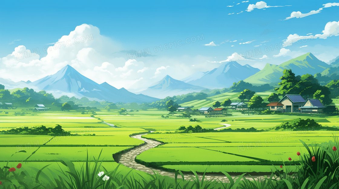 春季绿油油的乡间稻田插画