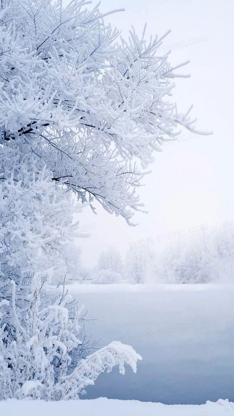 雾凇雪凇背景