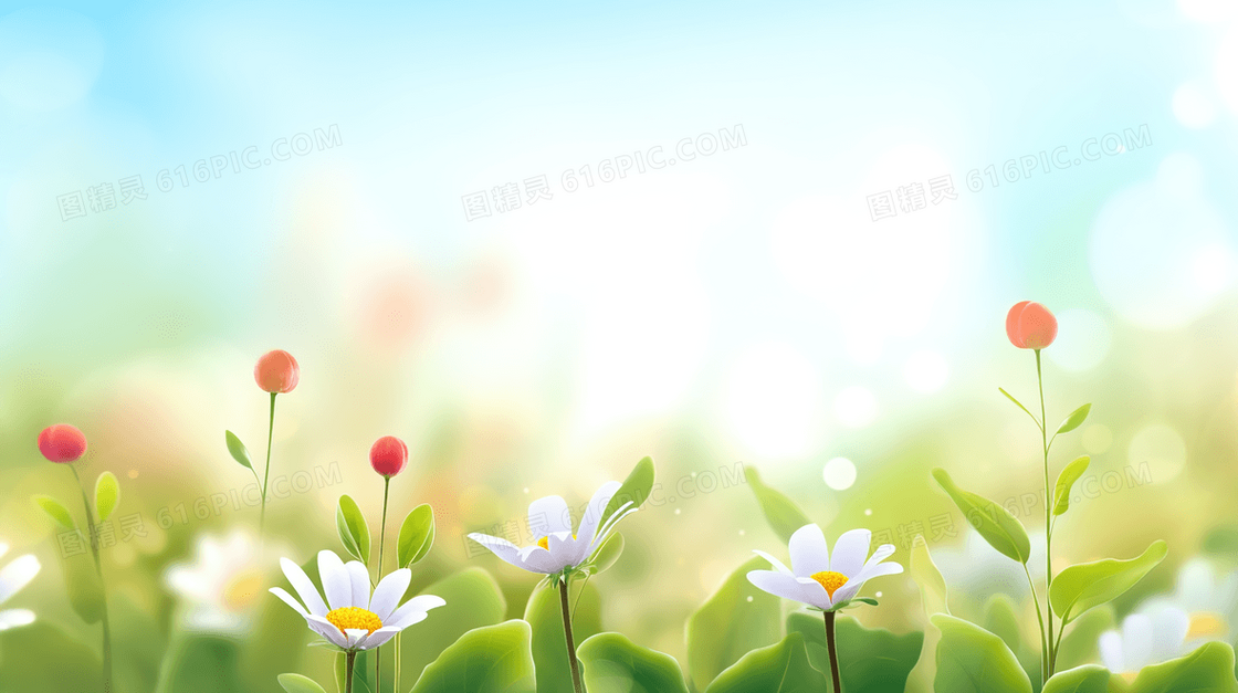 春天草地里盛开的小雏菊插画