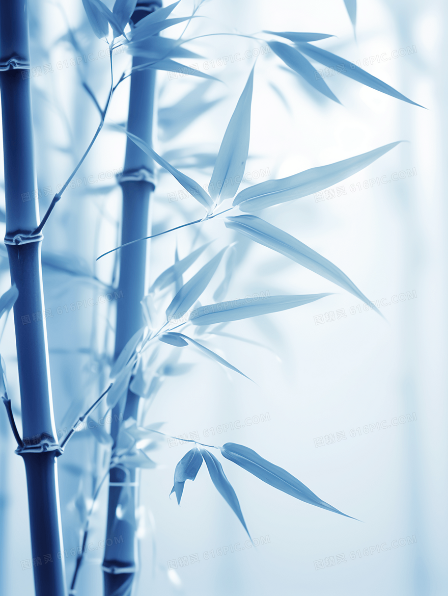 特写竹子竹节风景插画