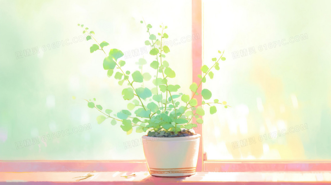 窗户上的绿色盆栽插画