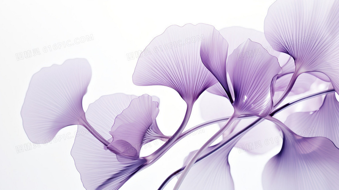 紫色唯美小清新夏天银杏叶子插画