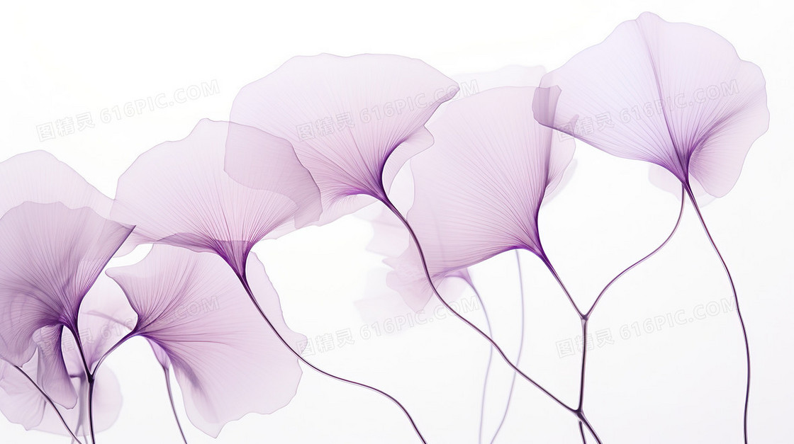 紫色唯美小清新夏天银杏叶子插画