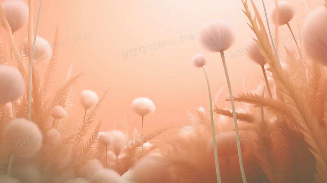 柔和粉色水边绒毛植物插画