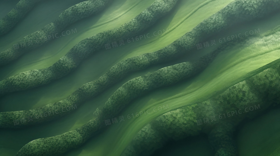 绿色山丘田野植被肌理插画