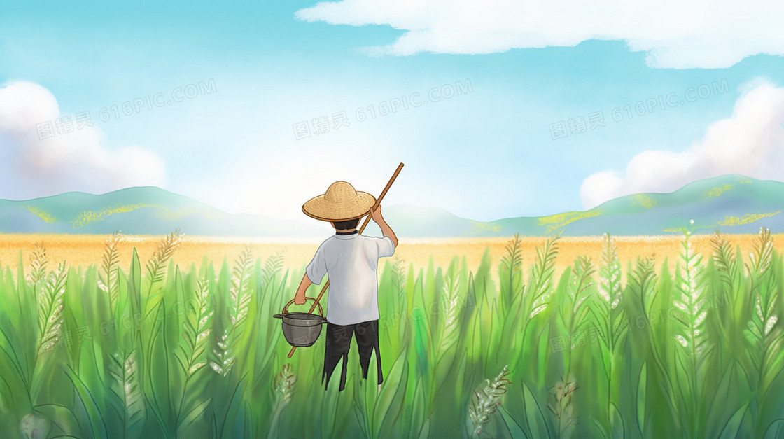 春天庄稼地里劳作的农民插画
