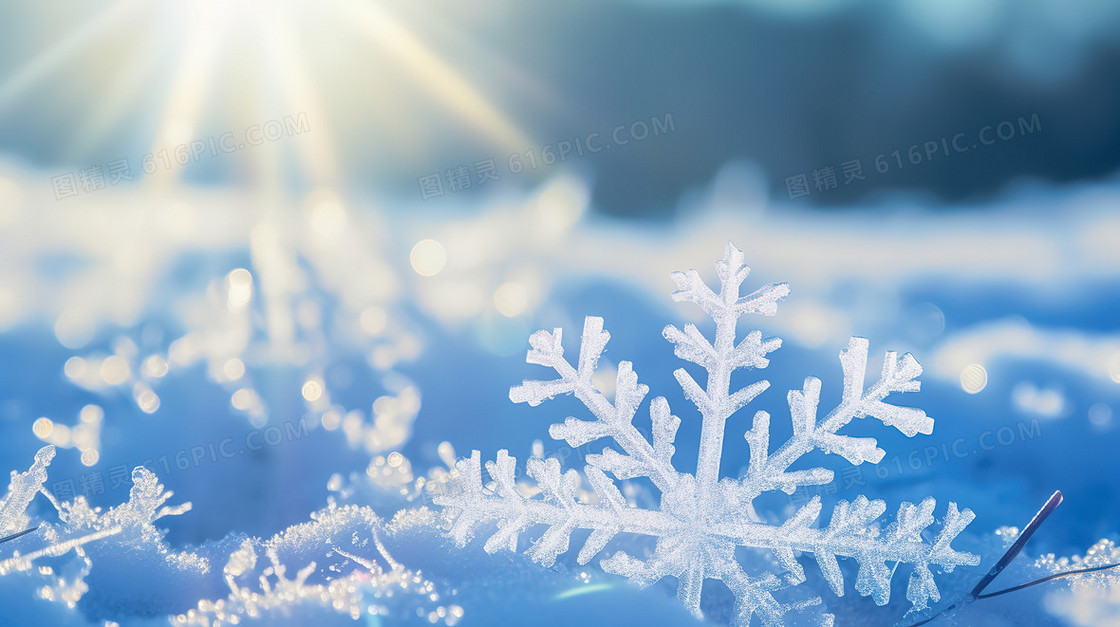 白色阳光下的雪花图片