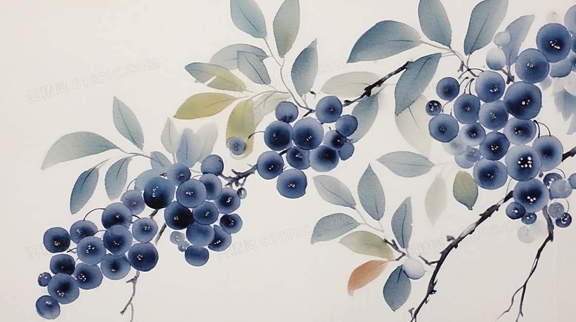 中国风蓝莓国画水墨插画